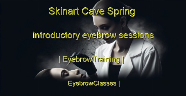 Skinart Cave Spring introductory eyebrow sessions | EyebrowTraining | EyebrowClasses | SkinartTraining-United States